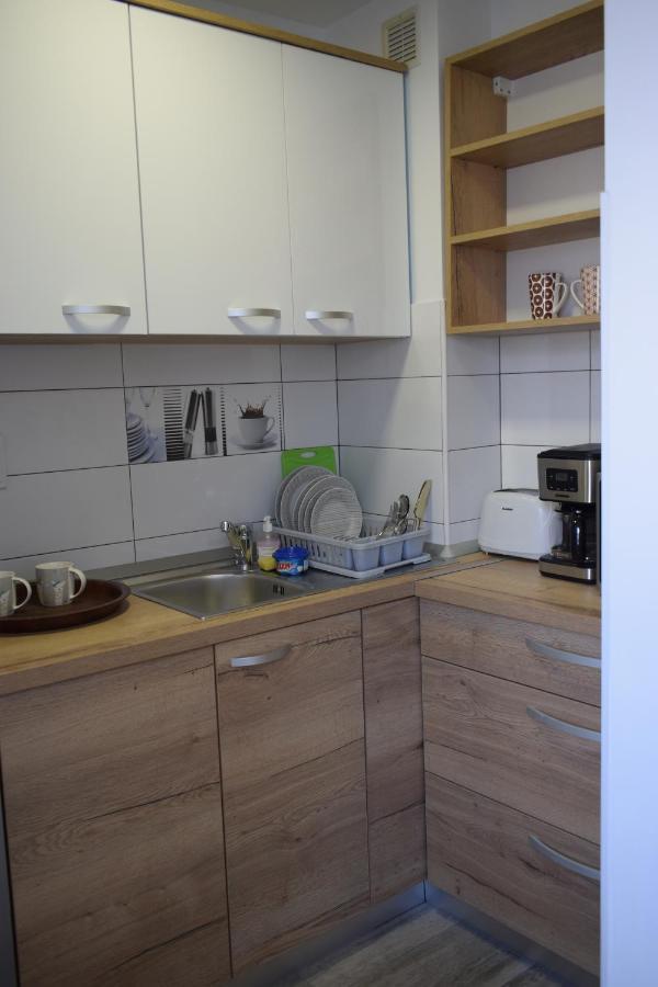 Apartament Palatul De Justitie Rhbm Baia Mare Exteriér fotografie