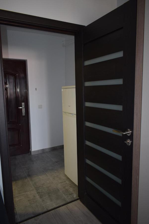 Apartament Palatul De Justitie Rhbm Baia Mare Exteriér fotografie