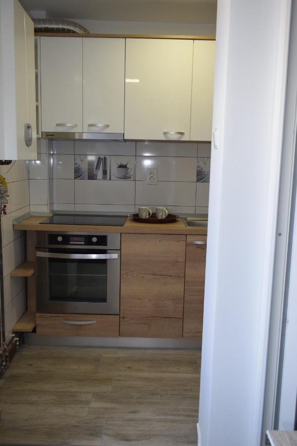 Apartament Palatul De Justitie Rhbm Baia Mare Exteriér fotografie